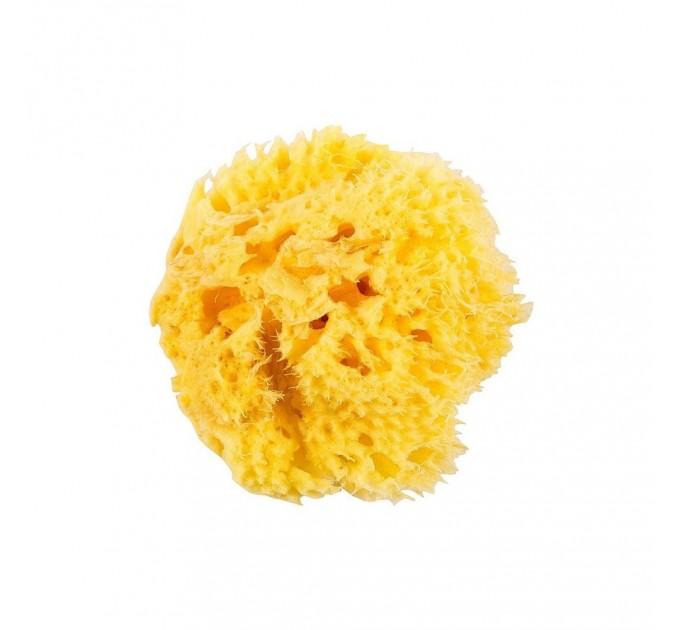 Естественная губка для ванны Okbaby Honeycomb sea sponge