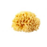 Естественная губка для ванны Okbaby Silk Fine sea sponge