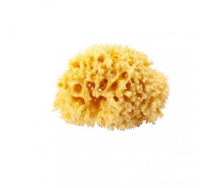 Естественная губка для ванны Okbaby Silk Fine sea sponge